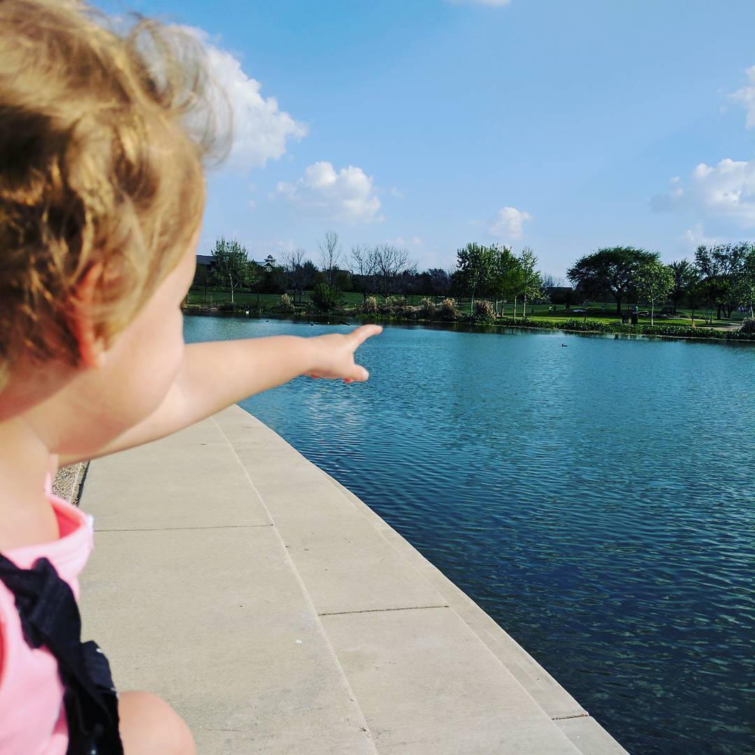 Dorothy pointing out birds. I love that they opted to make the neighborhood’s drainage area into a dedicated pond and park. It is always full of people from all over East Austin.