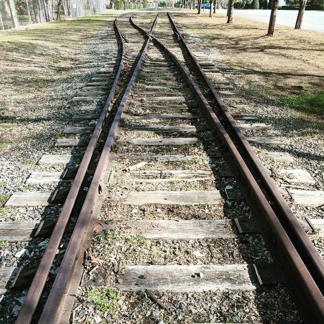 Had a pediconference with @thebossgod and stumbled upon an abandoned stretch of track, including a functional switch! I love finding urban treasure.