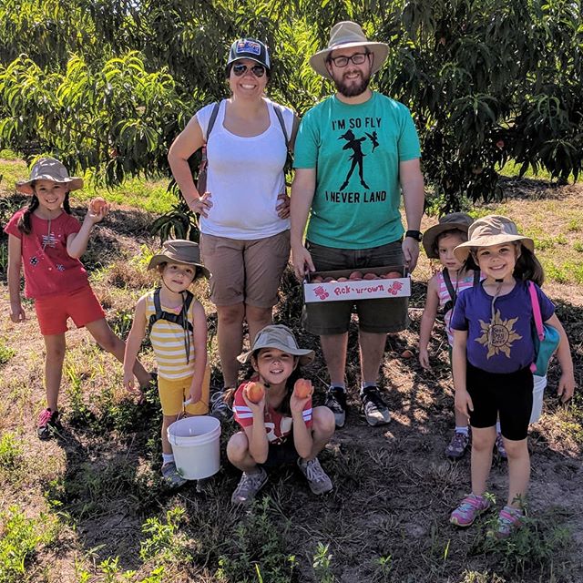 On Memorial Day, we went to a local fruit farm and picked a few things, mostly peaches. Next up, making a peach cider/wine with a few pounds I stashed aside.