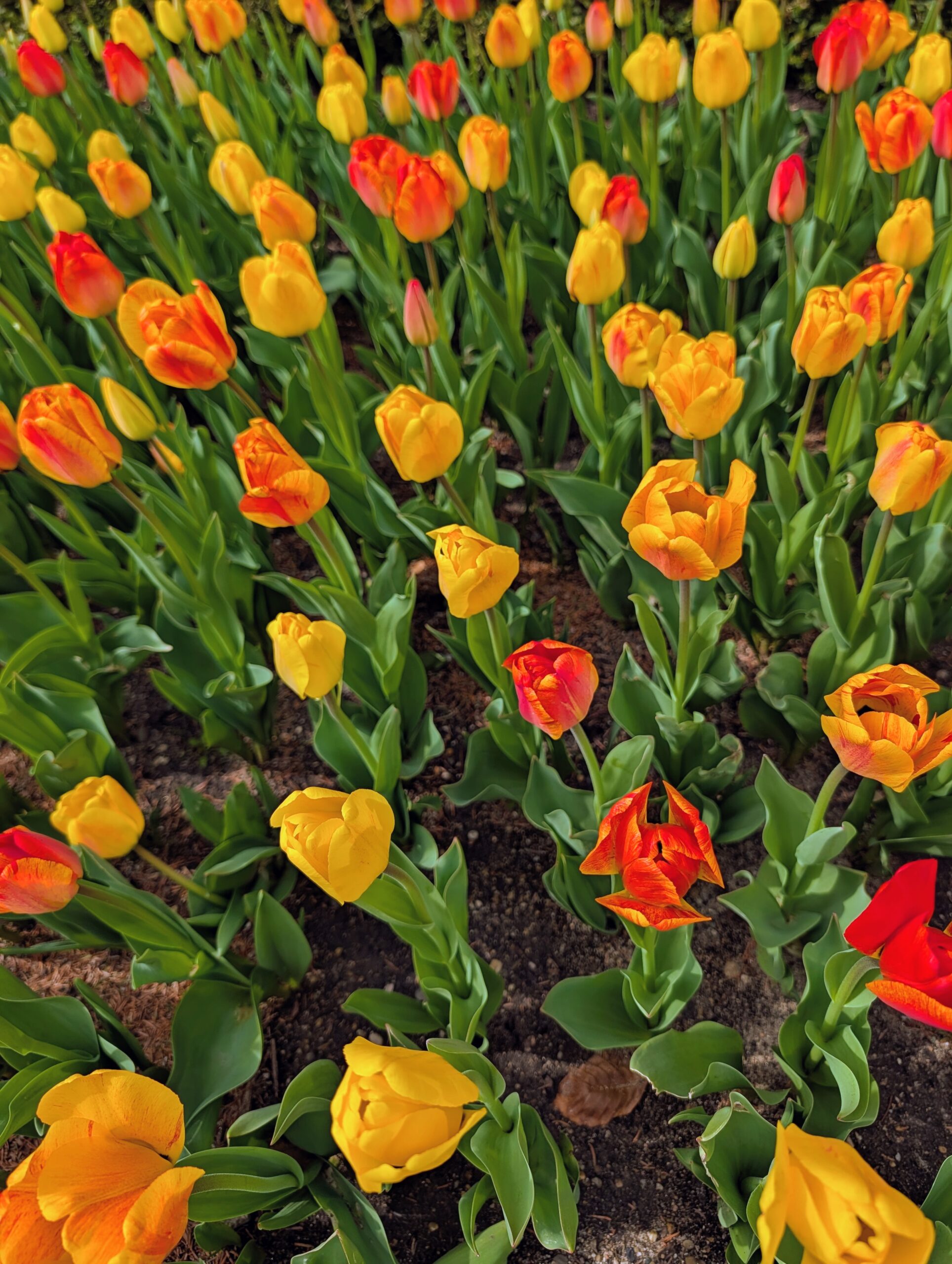 Untitled post 154757