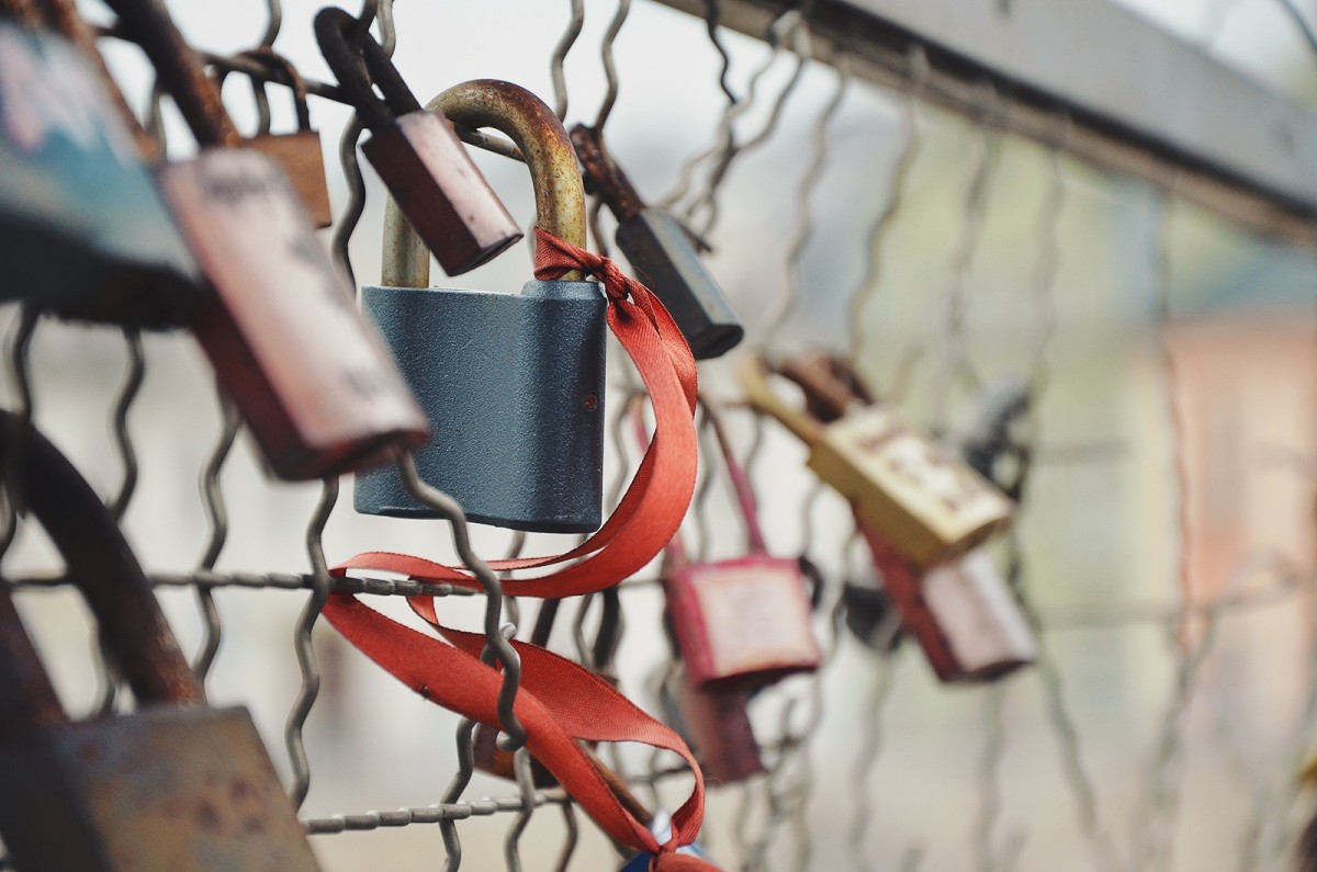 A number of padlocks hanging on a fence.