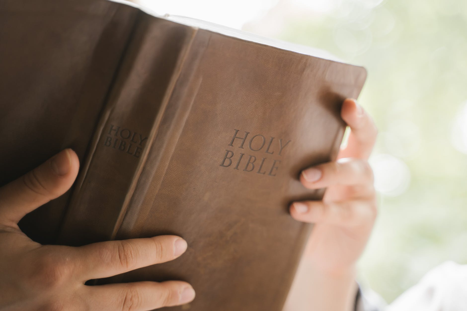Bible in the Year